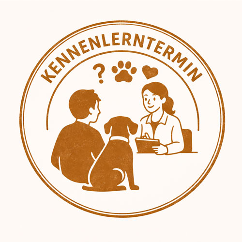 Kennenlerntermin