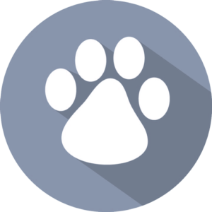 5 Taler Schnupper Abo