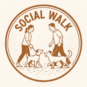 Social Walk - Gassi mit Pfiff Februar