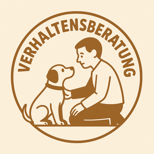 Verhaltensberatung – individuelles Einzeltraining