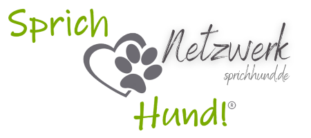 Logo Netzwerk freigestellt