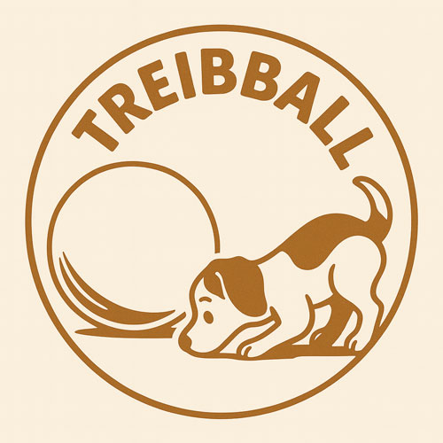Treibball BallSpaß - Februar