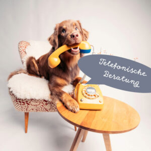 Telefonische Beratung