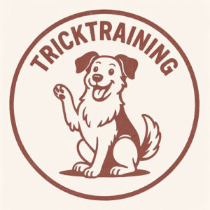 Tricktraining – Neue Tricks im Februar