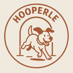 "Hooperle" - Hoopers Agility Anfänger