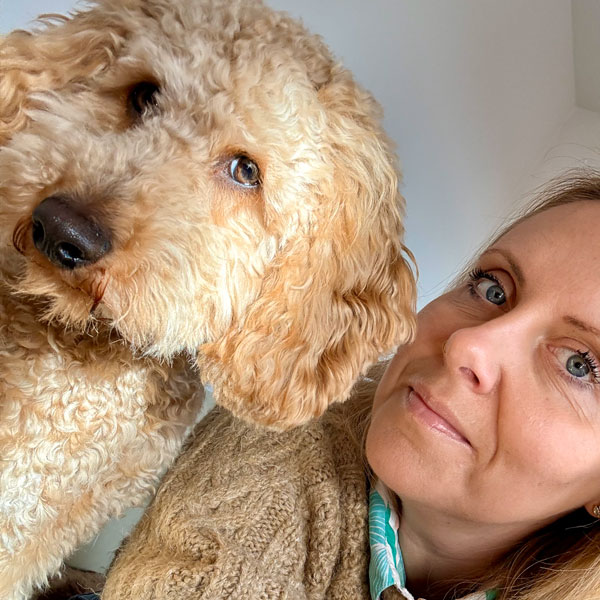 Cockapoo-Junge Krümel mit Dorothee D‘Aria