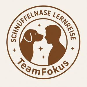 TeamFokus – Aufmerksamkeit und Orientierung im Alltag