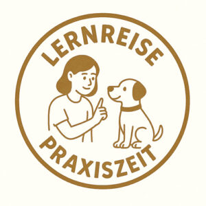 LernReise: PraxisZeit Februar